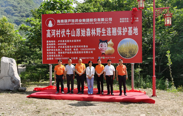以道地药材包管产品品质 以村企相助助力墟落振兴 | 公司新闻 | 888集团药业